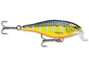 EBA71777 2A78 4B41 85E8 011564A199DE SSR09HS