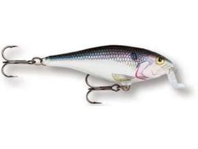 Shallow Shad Rap 07