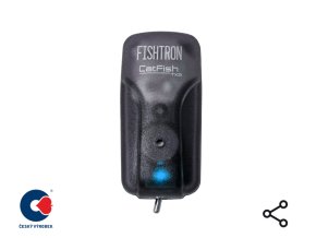 e6892005d46728 cat blue