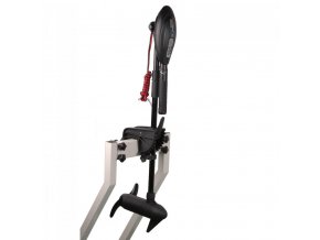 haswing 40 lb