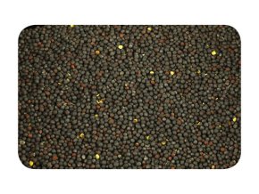 Nikl Řepka 1kg (Varianta Nikl Řepka 1kg)