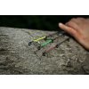 Giants fishing Prut Radiant MX Feeder 12ft 50-100g