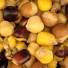 nash partikl large seed mix (1)