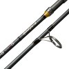 Giants fishing Prut Radiant Carp Cast + 50 12ft 3.25lb