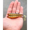 fox rage gumova nastraha slick shad natural perch (2)