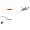 black cat navazec dead bait rig (1)