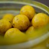 Munch Baits Dipované boilies Citrus Nut 200ml 18mm