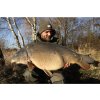 Sportcarp boilies Mulberry Garlic (moruše česnek)