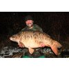 Sportcarp pelety Spicy Krill ø 20 mm (Varianta 10 kg)