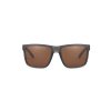 Fortis polarizační brýle Bays Brown (BY011)