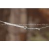 Carp´R´Us Stiff Link - na kombinované montáže (Varianta Carp´R´Us Stiff Link - Loop & Loop - 9,5cm, 50lb, 3pcs)