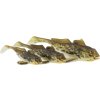 p244 gunnar the goby headline default
