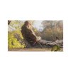 Solar Křeslo Undercover Camo Foldable Easy Chair - Low