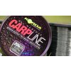 Korda vlasec Carp Line