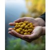 MTC boilies Shelf Life - Big Banana