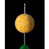 MTC boilies Shelf Life - Big Banana