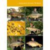 tb baits booster corn 500 ml (3)