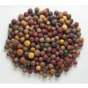 Mivardi Vnadící boilies Rapid - Multi mix - 2,5 kg