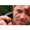 Carp´R´Us Hotový návazec - Ready Multi Rig Strip -X 25lbs (Varianta Carp´R´Us Ready Multi Rig Strip -X  25lbs - Centurion 6, 2pcs)