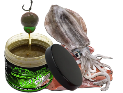 vyr 15261 magic baits booster dip chobotnice jatra