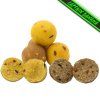 Premium boilies Banán (Průměr Průměr 24mm)