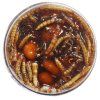 bloodworm