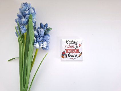 magnetky pro učitele a učitelky (7)