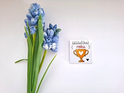 magnetky pro učitele a učitelky (8)