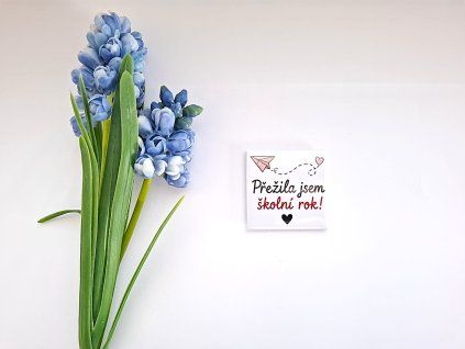 magnetky pro učitele a učitelky (10)