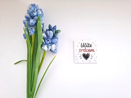 magnetky pro učitele a učitelky (16)