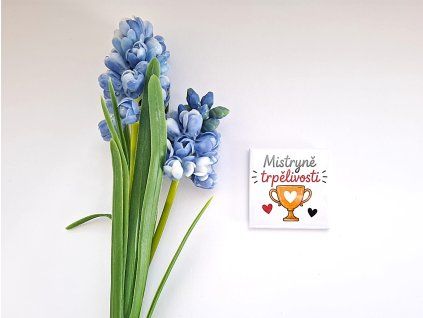 magnetky pro učitele a učitelky (3)