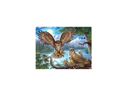 diamantovy-obrazek-sovi-hnizdo