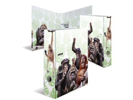 designovy-pakovy-poradac-a4-7cm-karton-serie-exoticka-zvirata-motiv-opici-gang
