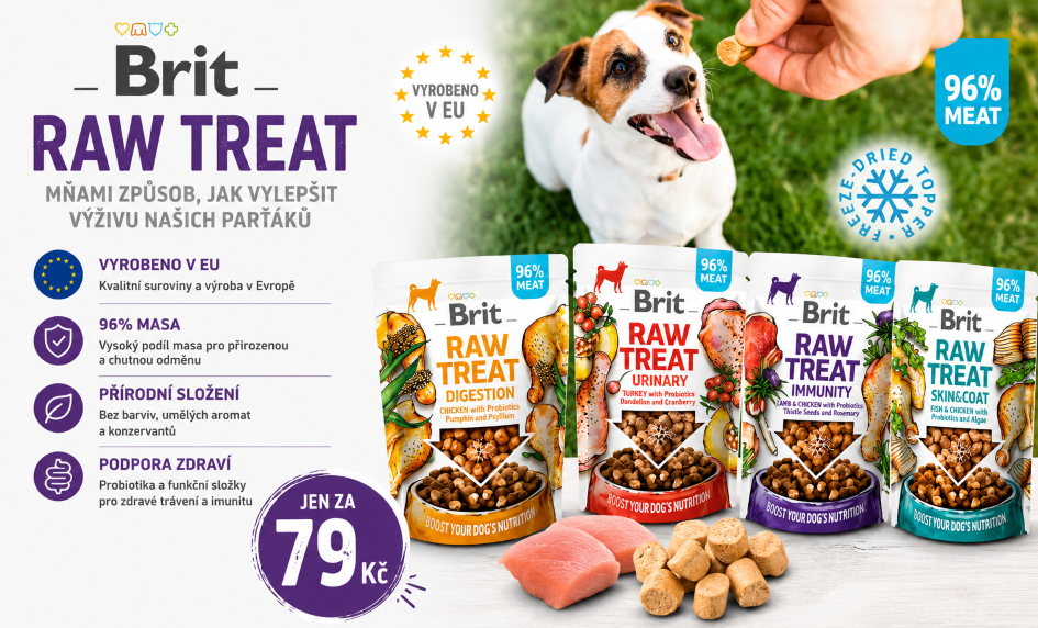 Pamlsky sušené mrazem Brit RAW TREAT
