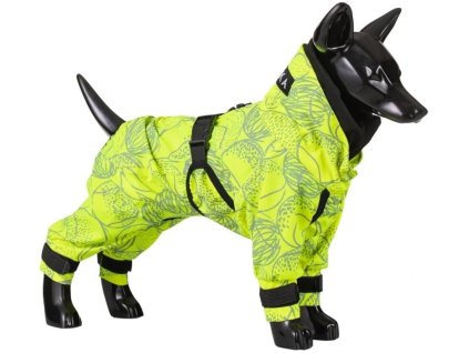 Paikka neon