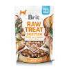 Brit raw treat digestion 40 g