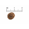 Belcando finest GF losos granule