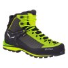 SALEWA CROW GTX BOOT M Cactus Sulphur Spring