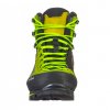 SALEWA CROW GTX BOOT M Cactus Sulphur Spring