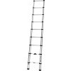 Thule Van Ladder