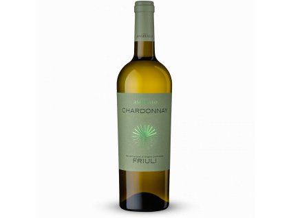 Chardonnay angelillo