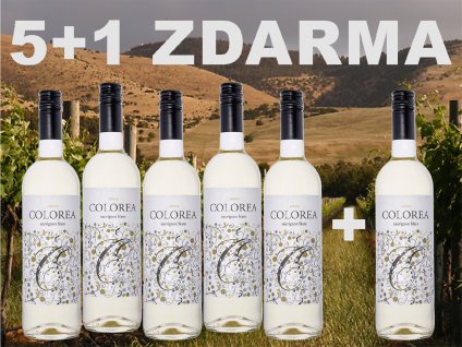 Colorea - Sauvignon Blanc 0,75L 6 KS