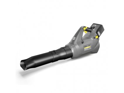 618fbab07c290defae65654885b156ad