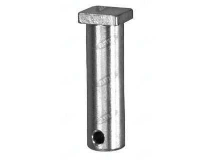Bolzen mit Vierkantkopf 26x100mm