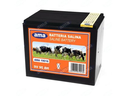 Batterie für Fechten 9V/130Ah