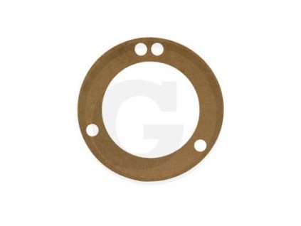 CASE IH Wasserpumpendichtung