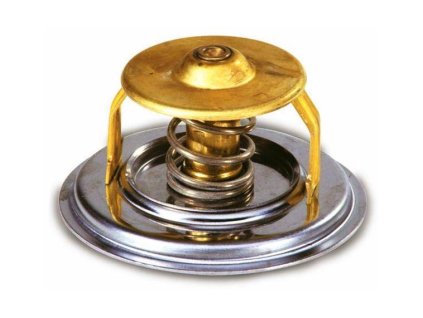 MASSEY FERGUSON Thermostat