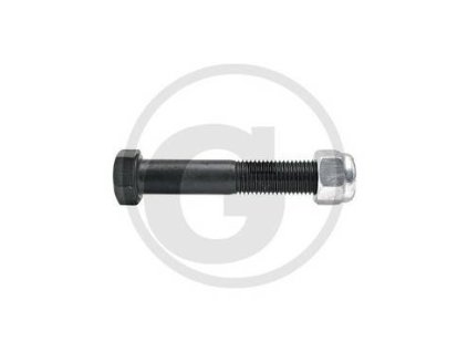 Schraube mit Sicherungsmutter