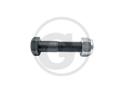 Schraube mit Sicherungsmutter