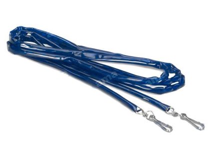 Steuerkette für Oberlenker